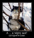 Вадім Прус фотография #4 (источник - https://vk.com/id154463696)