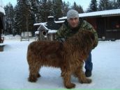 Фотография Гаврилова Валерия