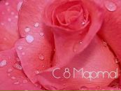 Фотография Сафиной Екатерины