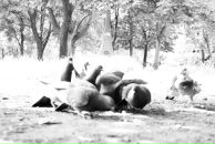 Павло Сергійович фотография #47 (источник - https://vk.com/id12370785)