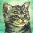 Фотография Жидкова Николая