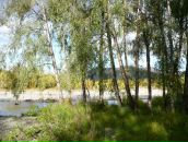 Дмитрий Тарасенко фотография #5 (источник - https://vk.com/id276015)