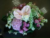 Леся Силенко фотография #5 (источник - https://vk.com/id3301581)