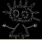 Фотография Мазановой Ангелины