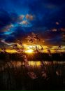 Фотография Сорокина Юры