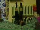 Діма Поченюк фотография #35 (источник - https://vk.com/id107504427)
