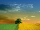 Лесик Кушнір фотография #20 (источник - https://vk.com/id69058200)