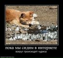 Андрій Лихий фотография #28 (источник - https://vk.com/id56636788)