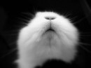 Віталій Кісілевський фотография #35 (источник - https://vk.com/id16420502)