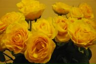 Фотография Ивановой Юлечки