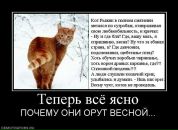 Дмитрий Макаров фотография #36 (источник - https://vk.com/id2691551)
