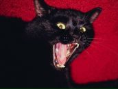 Андрій Твердий фотография #4 (источник - https://vk.com/id45360805)