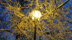 Фотография Славова Георги