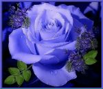 Таня Мізерна фотография #7 (источник - https://vk.com/id34065204)