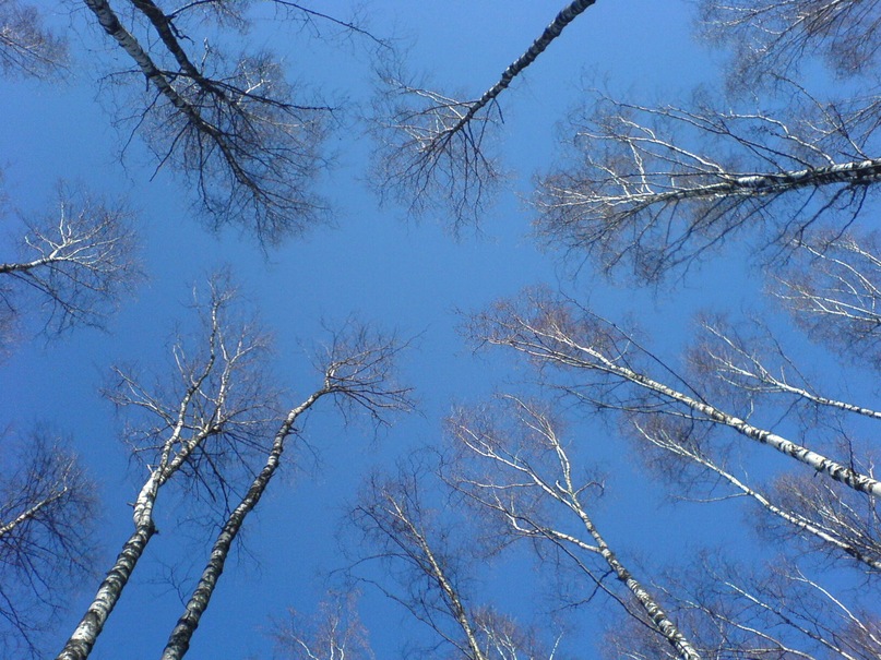 Егор Орлов фотография #22