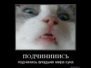 Фотография Абдуллина Василя