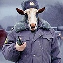 Валік Шамук фотография #16 (источник - https://vk.com/id92076626)