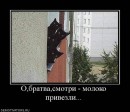 N[i]ki Baby фотография #49 (источник - https://vk.com/id66662499)