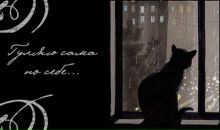 Фотография Лебедевой Анастасии