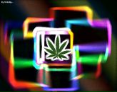 Фотография Геры Сереги