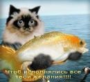 Міша Друзь фотография #1