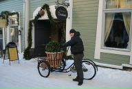 Фотография Некрасова Алексея