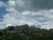 Юлія Родічева фотография #18 (источник - https://vk.com/id8162625)