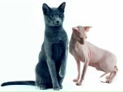 Фотография Еремеевой Валерии