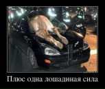 Юра Маргітич фотография #26 (источник - https://vk.com/id40518157)