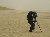 Фотография Winehouse Rowena