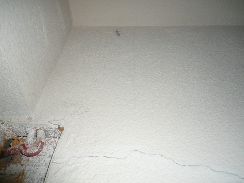 Игорь Милешкин фотография #45