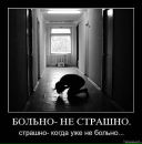 Сергій Добош фотография #4 (источник - https://vk.com/id7118660)