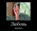 Стас Тимофеев фотография #22 (источник - https://vk.com/id3975274)