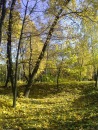 Іра Дмитрук фотография #38 (источник - https://vk.com/id65721709)