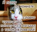 Ігор Папроцький фотография #7 (источник - https://vk.com/id138065142)