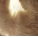 Василь Дмитрів фотография #50 (источник - https://vk.com/id98013424)