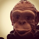 Фотография Лунёва Сергея