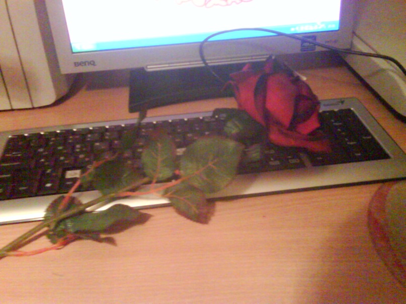 Наркас Тимербулатова фотография #9