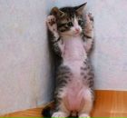 Фотография Зыкова Дениса