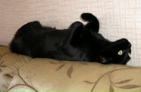 Фотография Худовековой Евгении