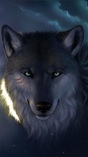 Дмитрий Булдаков фото №1