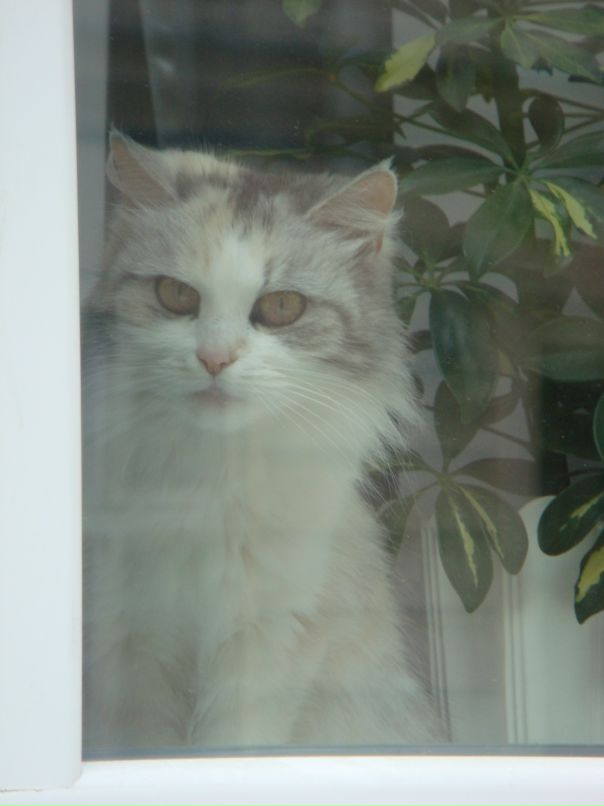 Максим Коваленко фотография #42