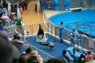 Антон Постников фотография #4 (источник - https://vk.com/id562928)