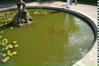 Іванна Лар фотография #46 (источник - https://vk.com/id21106238)