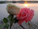 Ірина Мороз фотография #11 (источник - https://vk.com/id113602127)