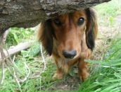 Фотография Кучатковой Майи