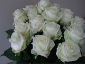 Игорь Селяков фотография #45 (источник - https://vk.com/id643760)