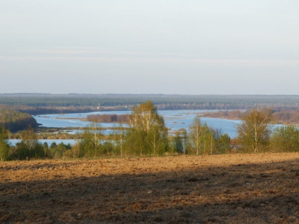 Дмитрий Cеребряков фото №22