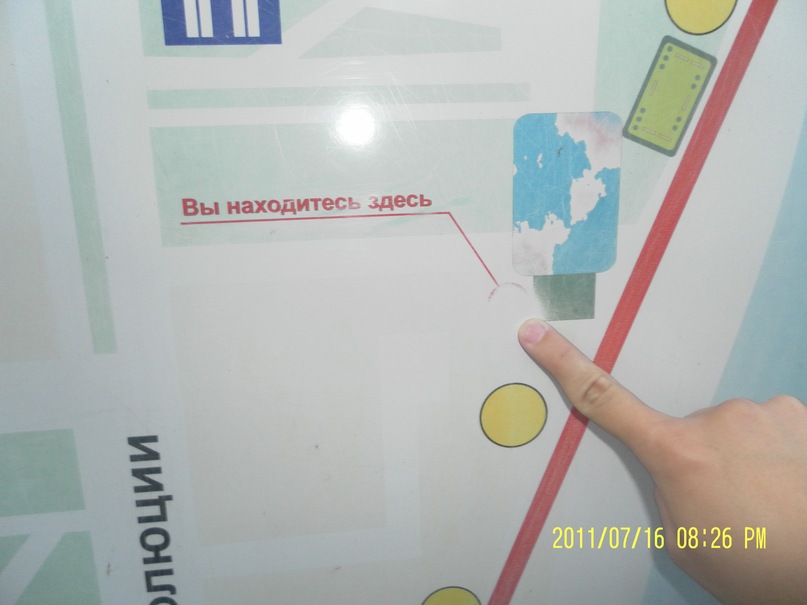 Дмитрий Галиулин фотография #39