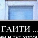 Богдан Нікітюк фотография #24 (источник - https://vk.com/id150880687)
